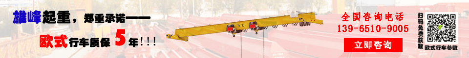歐式起重機質(zhì)保五年 歐式起重機質(zhì)保五年